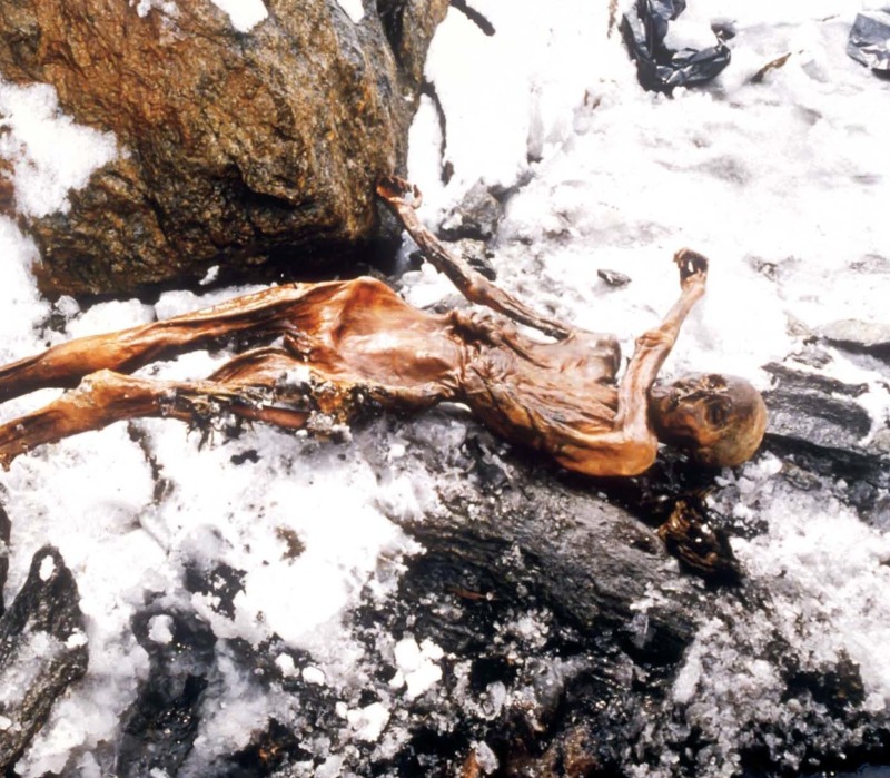 Digging Up the Past: Otzi the Iceman — page 1