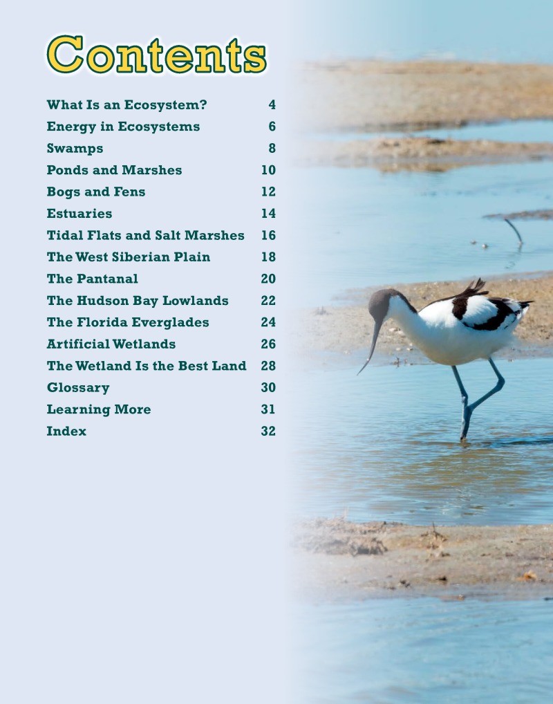 Wetlands Inside Out book cover