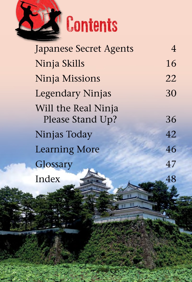 Ninjas book cover