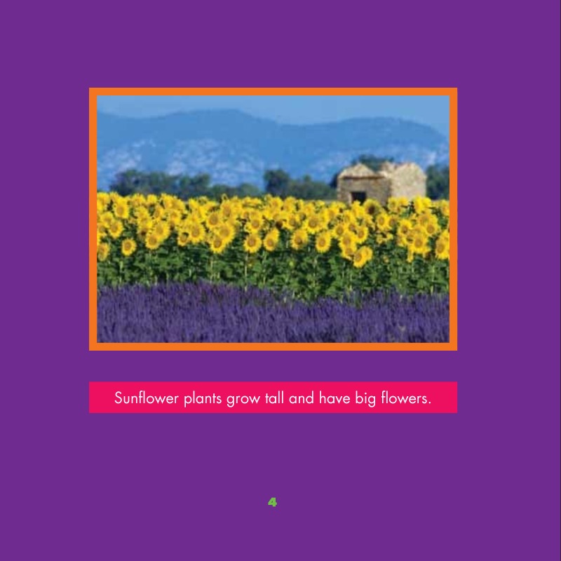 Healing Plants — page 1