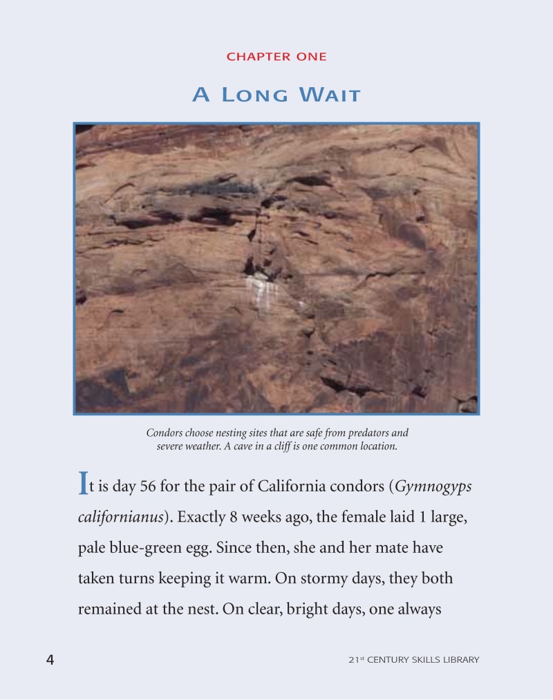 Road To Recovery: California Condor — page 1