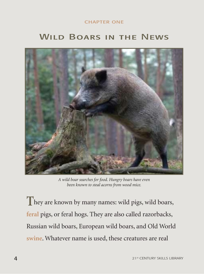 Animal Invaders: Wild Boar — page 1