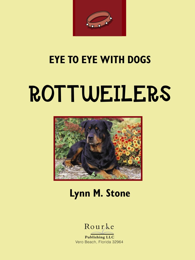 Eye To Eye With Dogs: Rottweilers book cover