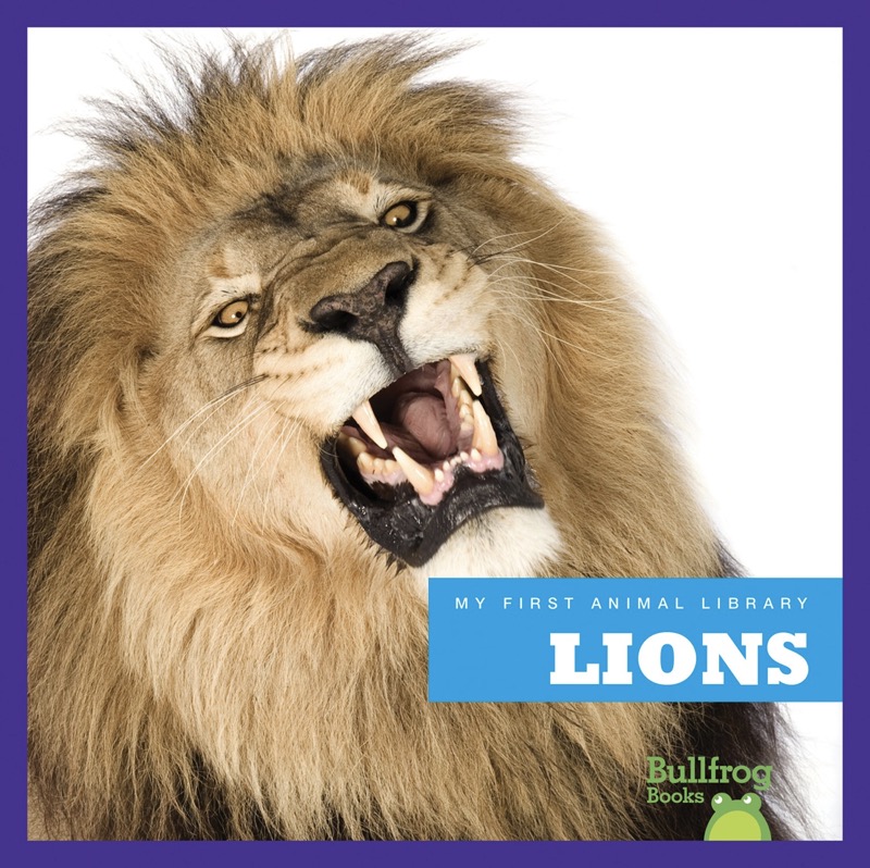 My First Animal Library: Lions book cover