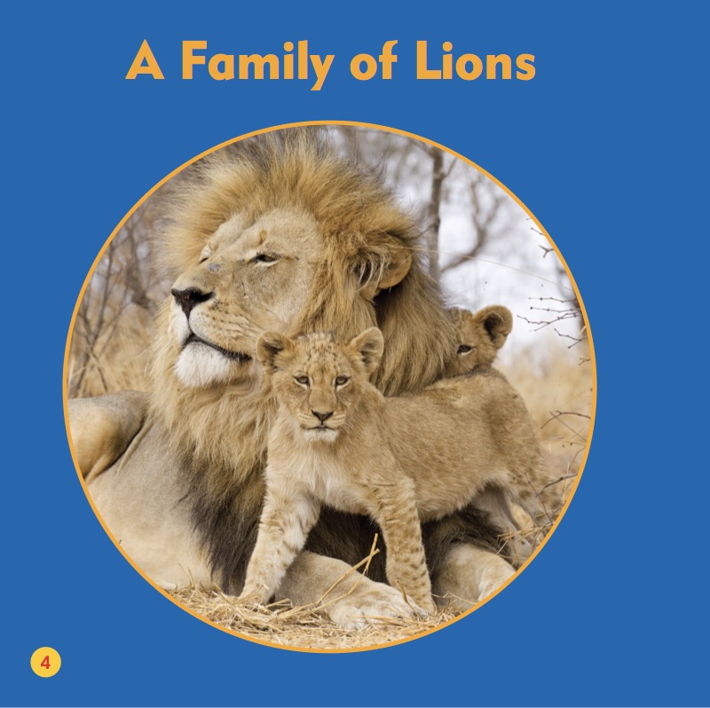 My First Animal Library: Lions — page 1