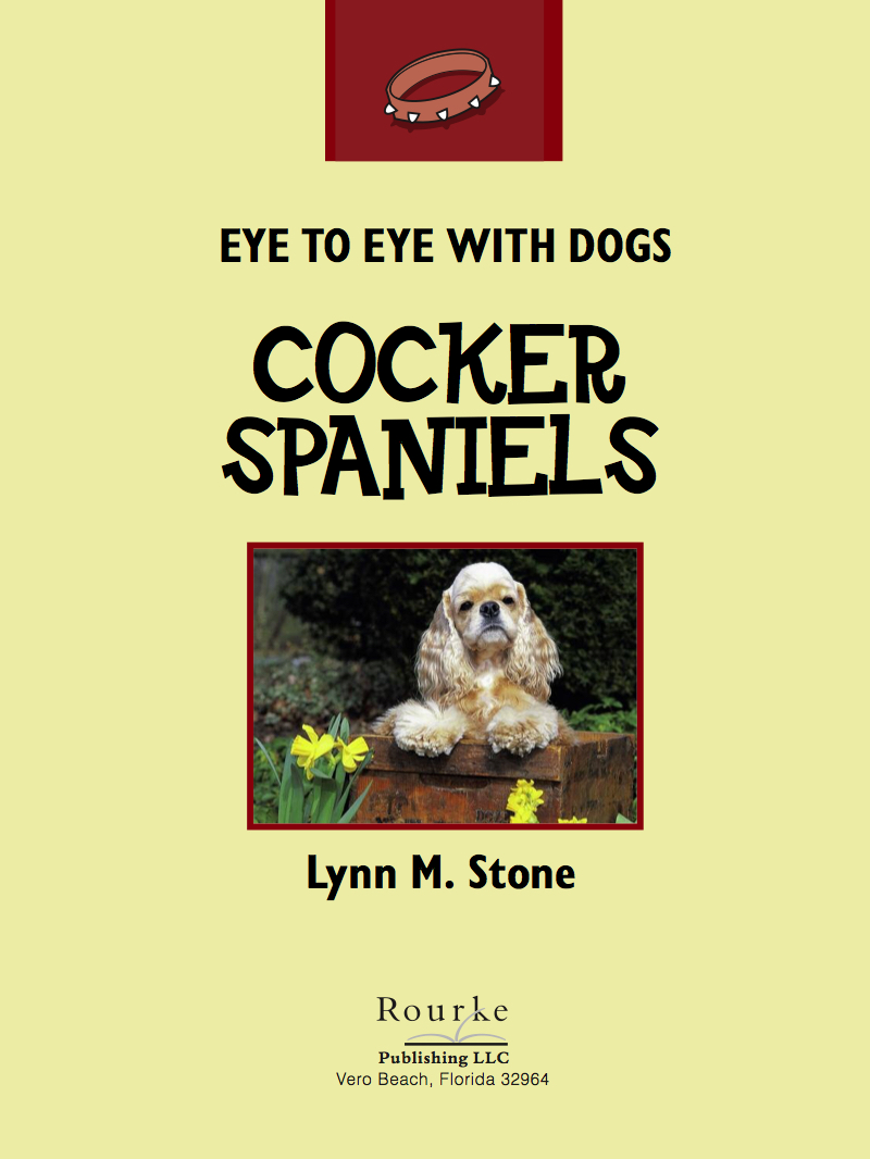 Eye To Eye With Dogs: Cocker Spaniels book cover