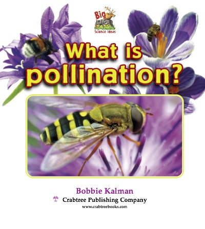 What Is Pollination? book cover