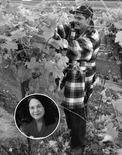 Dolores Huerta: Voice for the Working Poor — page 1