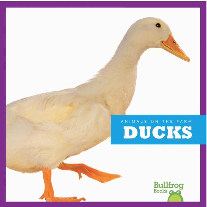 Ducks book cover