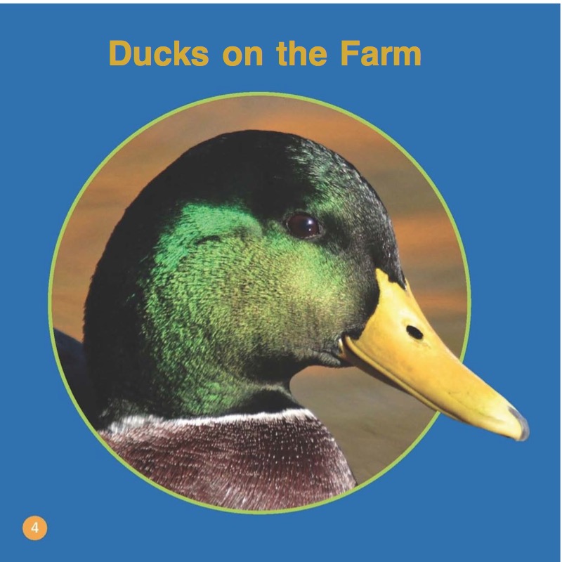 Ducks — page 1