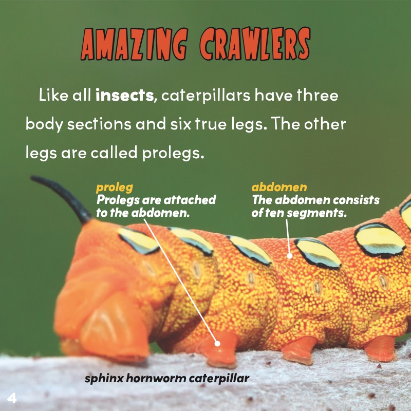 Creepy But Cool: Caterpillars — page 1