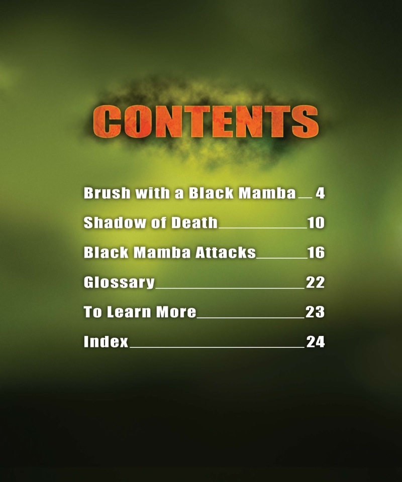 The Black Mamba book cover