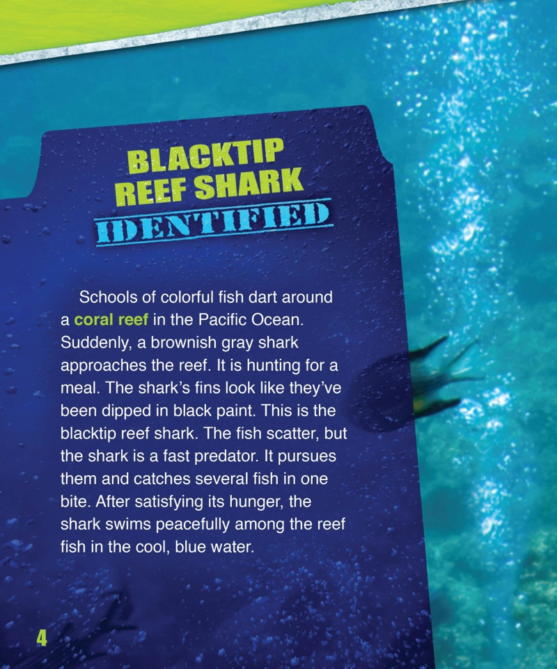 Shark Fact Files: The Blacktip Reef Shark — page 1
