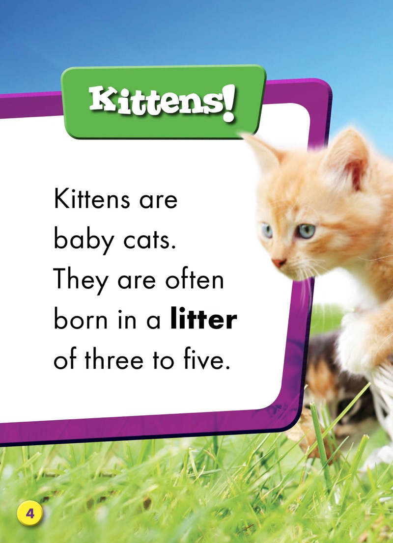 Super Cute! Baby Cats — page 1