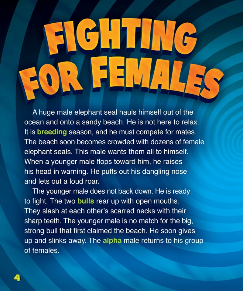 Extremely Weird Animals: Elephant Seal — page 1