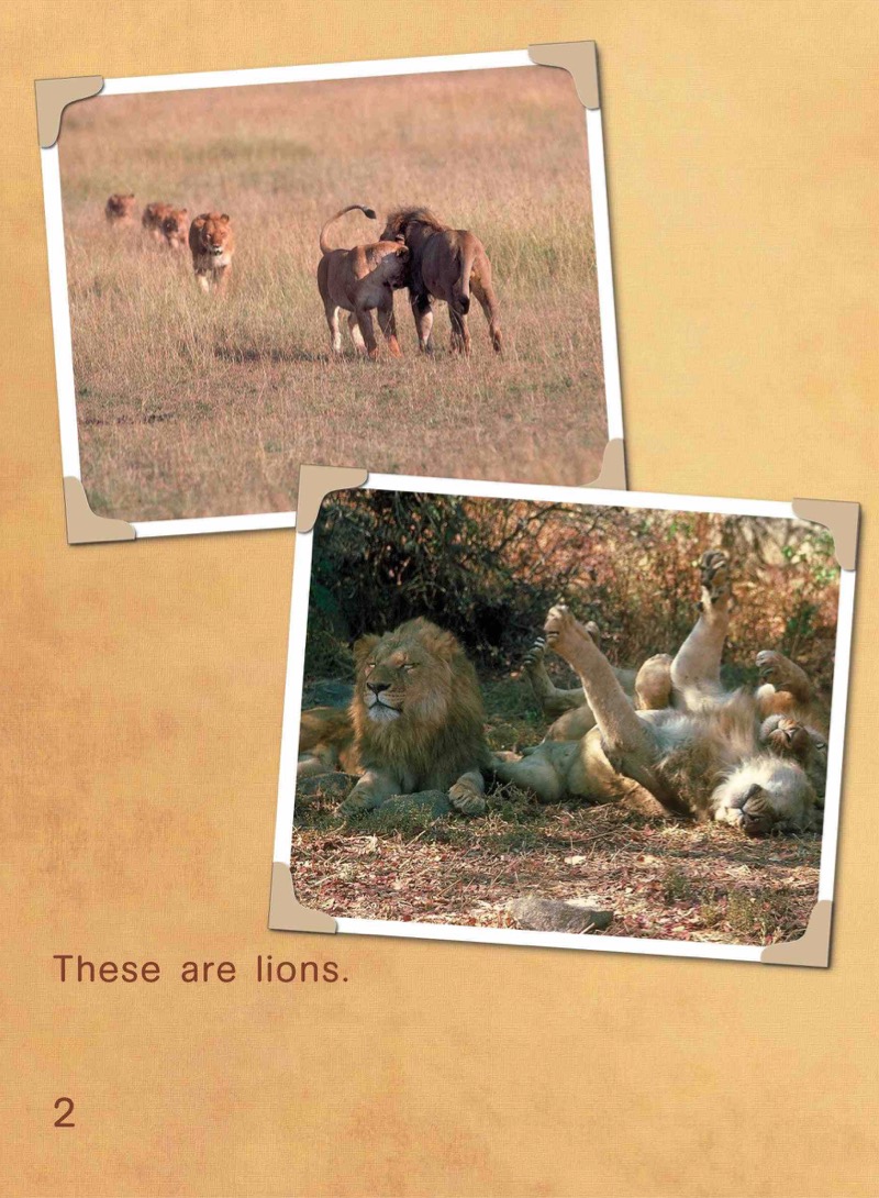 Go Wild Lions — page 1