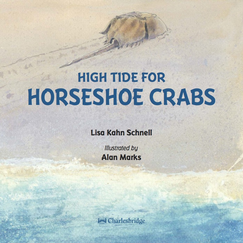 High Tide for Horseshoe Crabs book cover