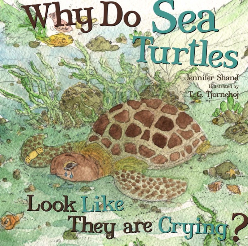 Why Do Sea Turtles Look Like They Are Crying? book cover