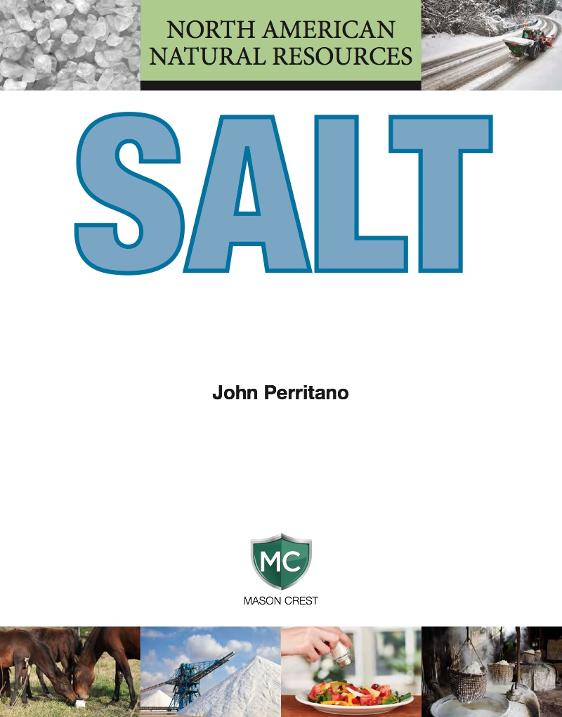 Salt book cover