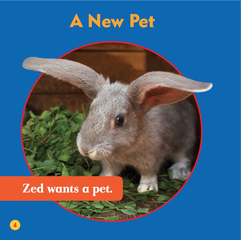 My First Pet: Rabbits — page 1