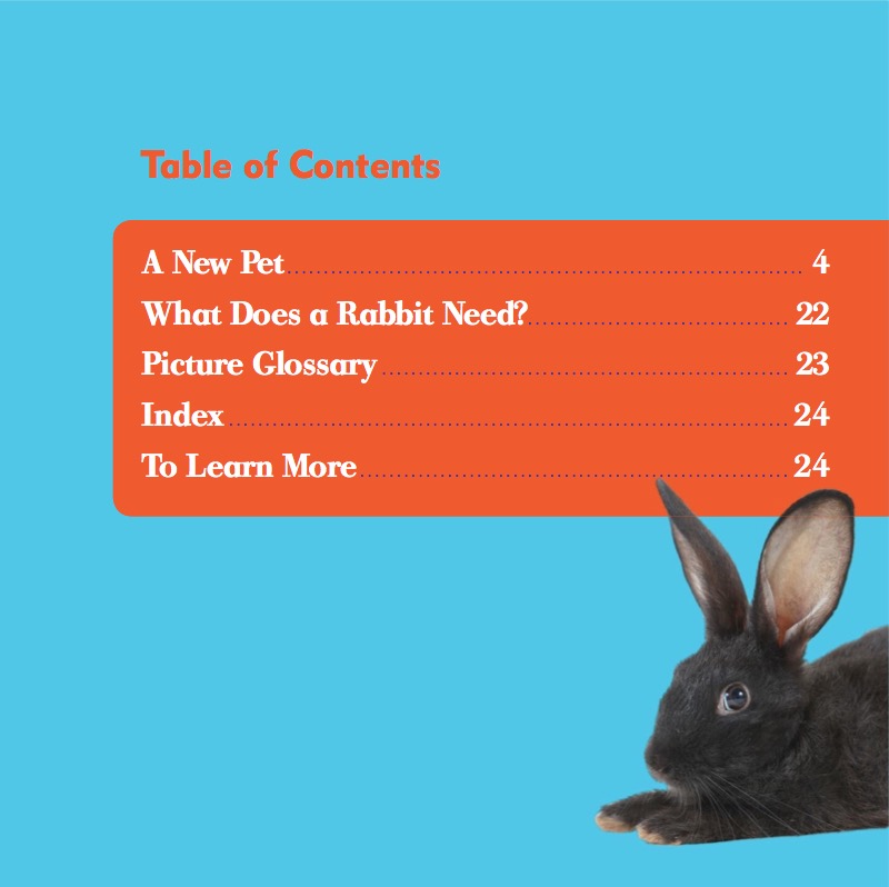 My First Pet: Rabbits book cover