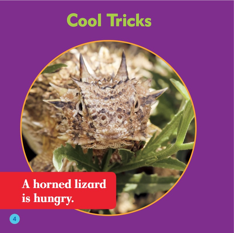 Reptile World: Horned Lizards — page 1
