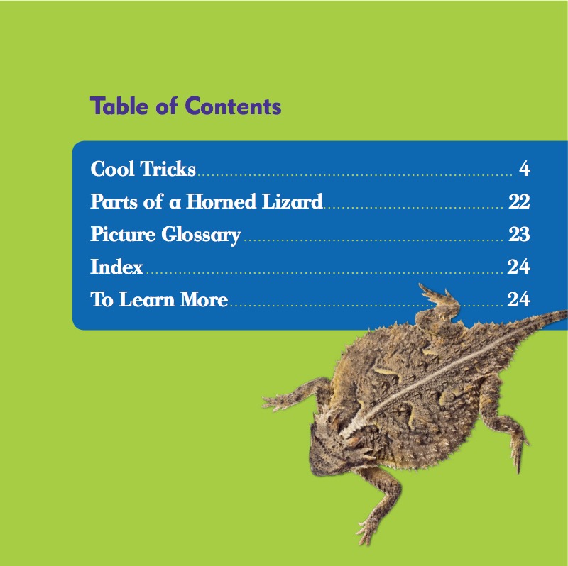 Reptile World: Horned Lizards book cover