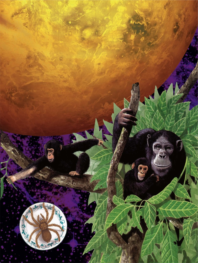 The Really Big I Didn't Know That Book: Giant Animals, Primates, Whales, Rain Forests, and The Solar System — page 1