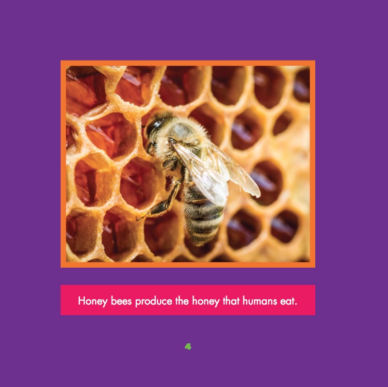 Honey Bee — page 1