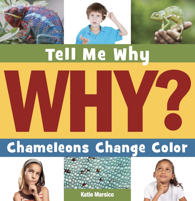 Chameleons Change Color book cover