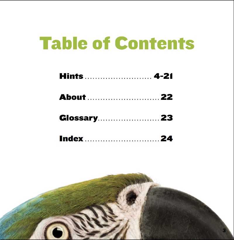 Flashy Feathers book cover