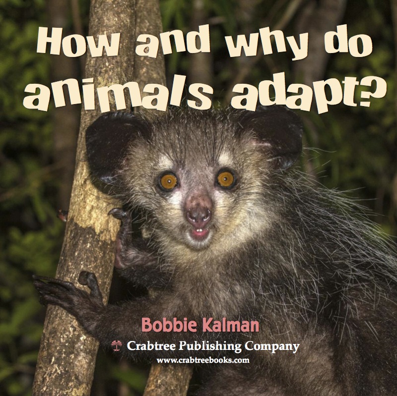 How and Why Do Animals Adapt? book cover