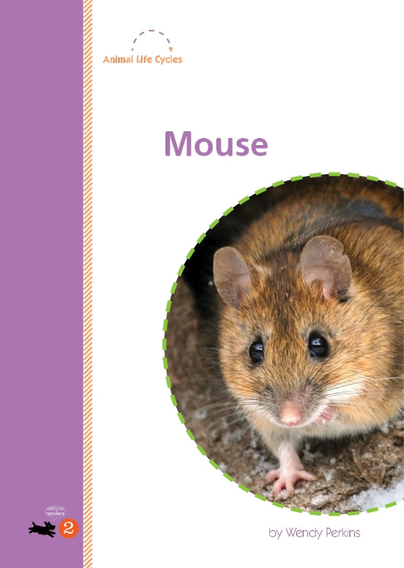 Mouse book cover
