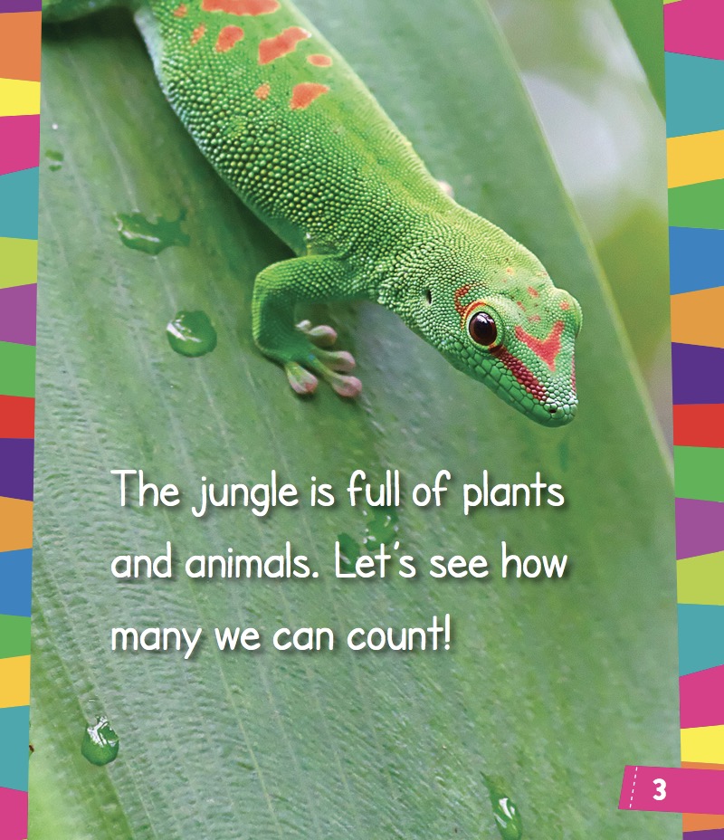Down In The Jungle 1,2,3: A Rain Forest Counting Book book cover