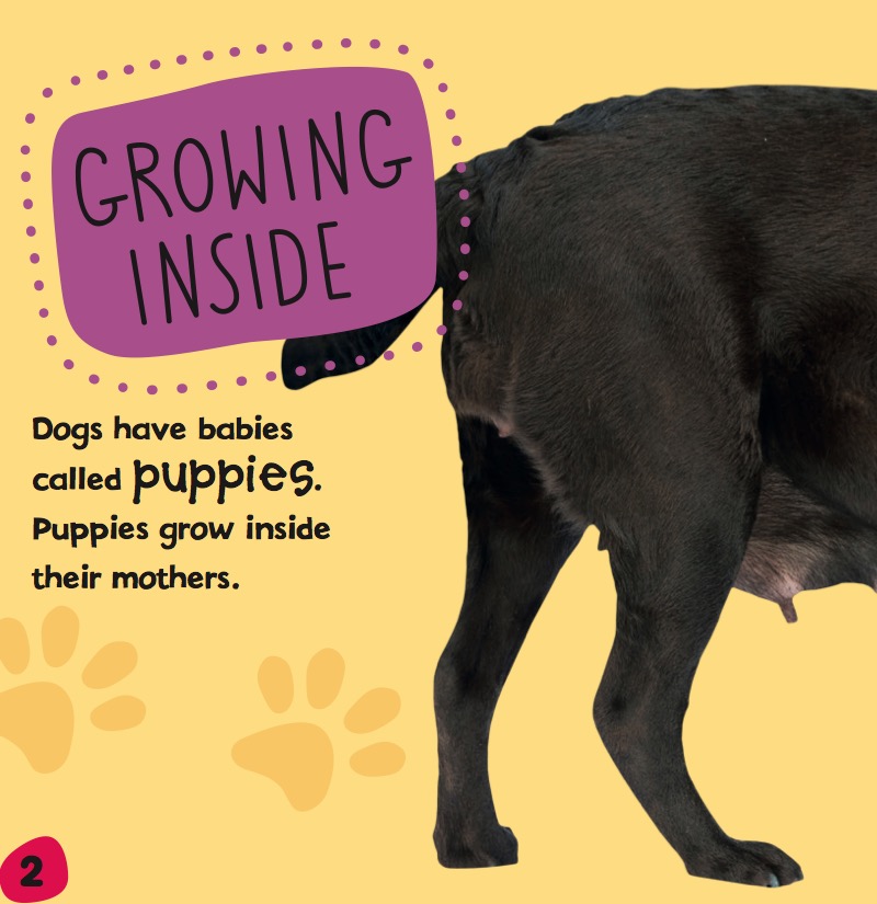 Dogs and Puppies — page 1