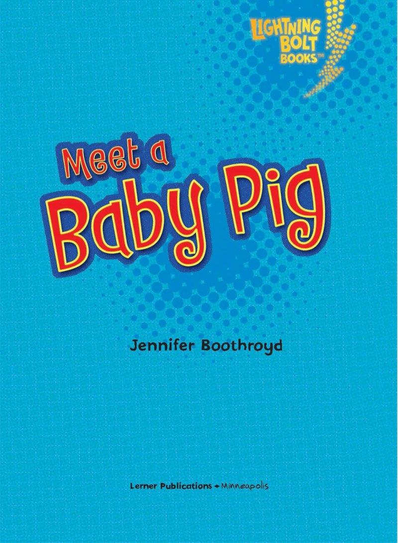 Meet a Baby Pig book cover