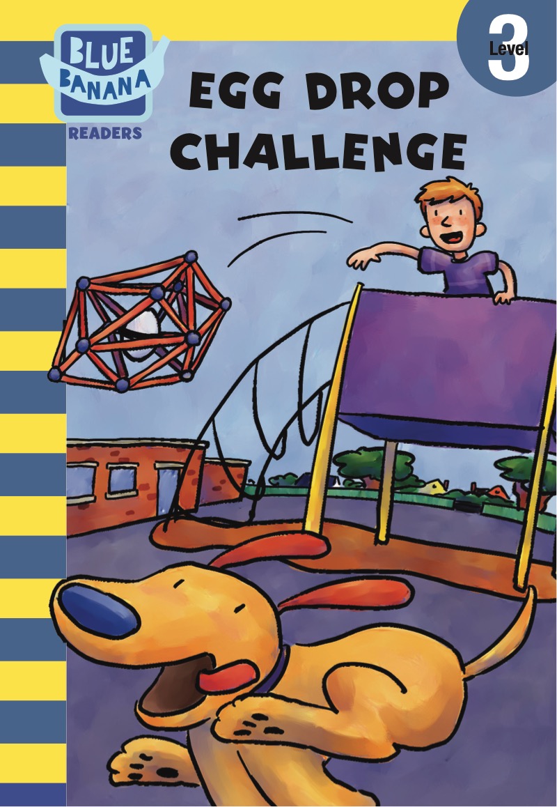 Egg Drop Challenge book cover
