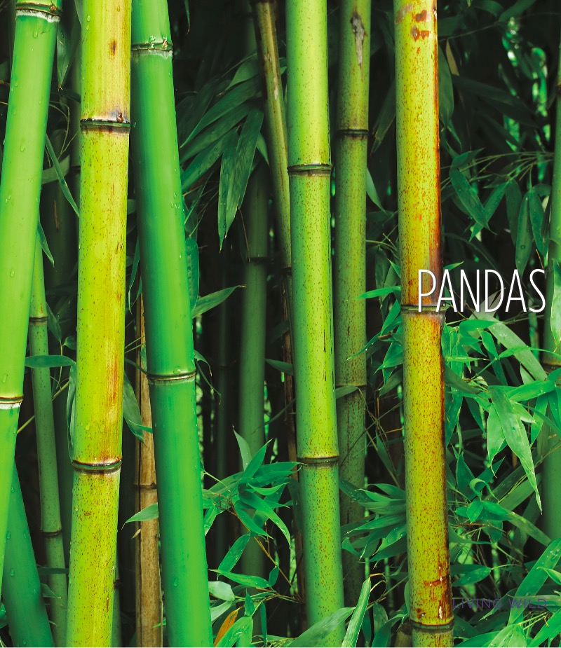 Pandas book cover