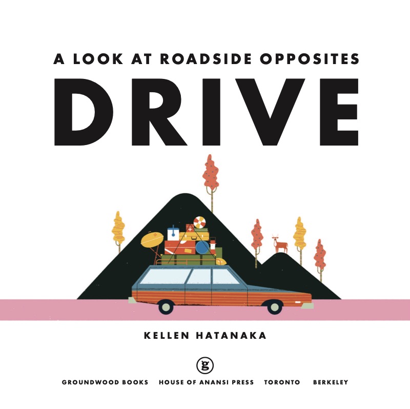 Drive: A Look at Roadside Opposites book cover