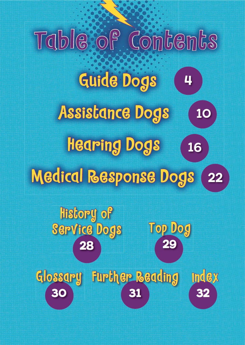 Hero Service Dogs book cover