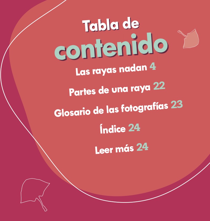 ¡Mira, una raya! (Look, a Ray!) book cover
