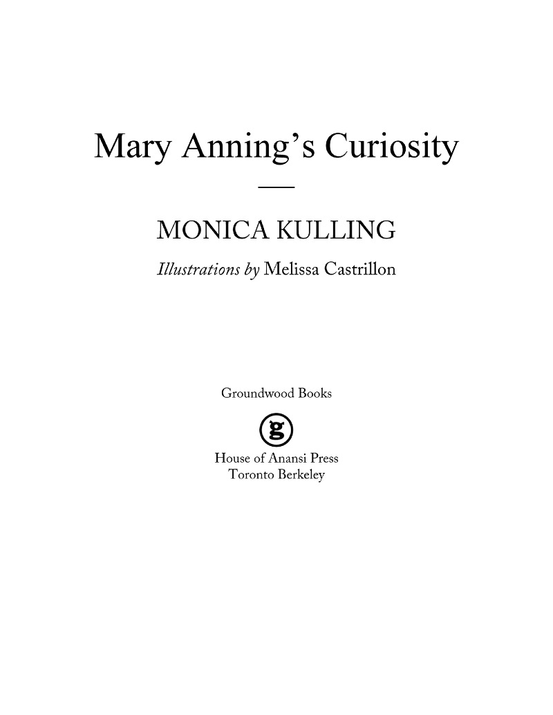 Mary Anning's Curiosity book cover