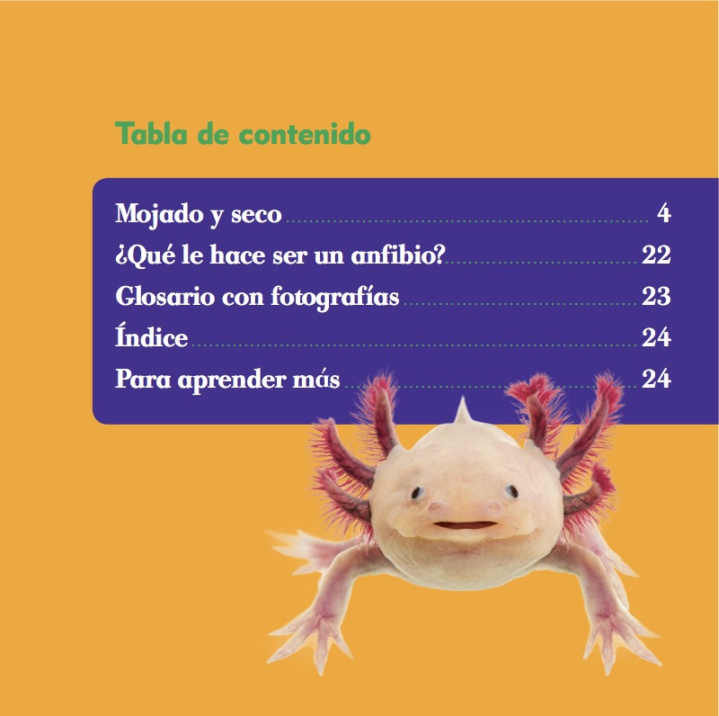 Clasificación Animal: Anfibios book cover