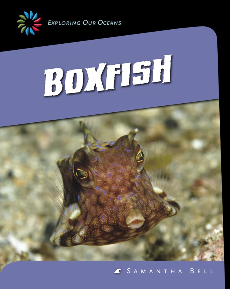 Boxfish book cover