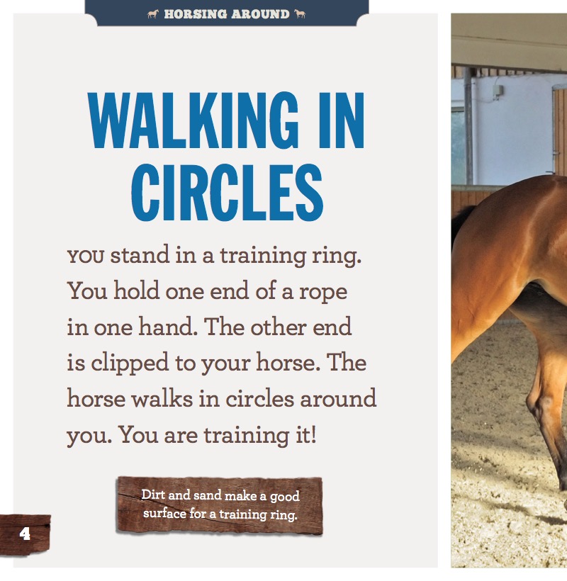 Training Horses — page 1