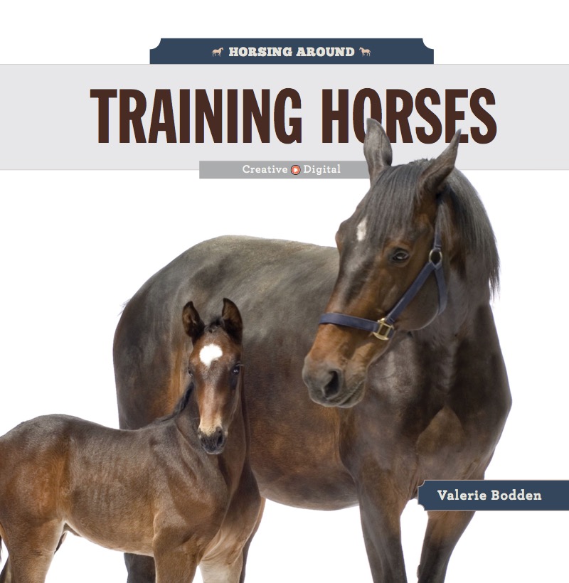 Training Horses book cover