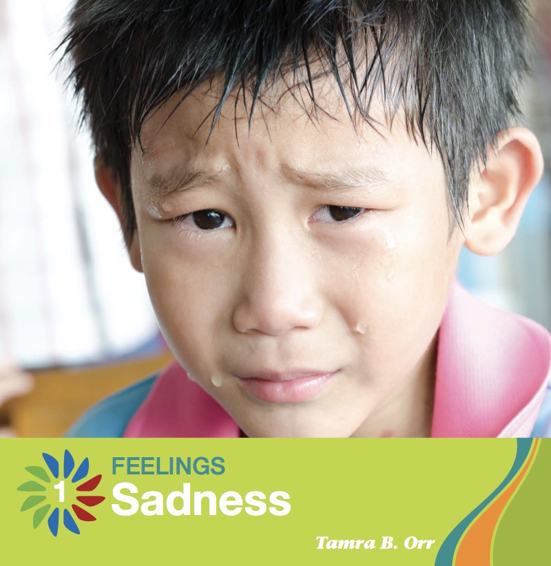 Sadness book cover