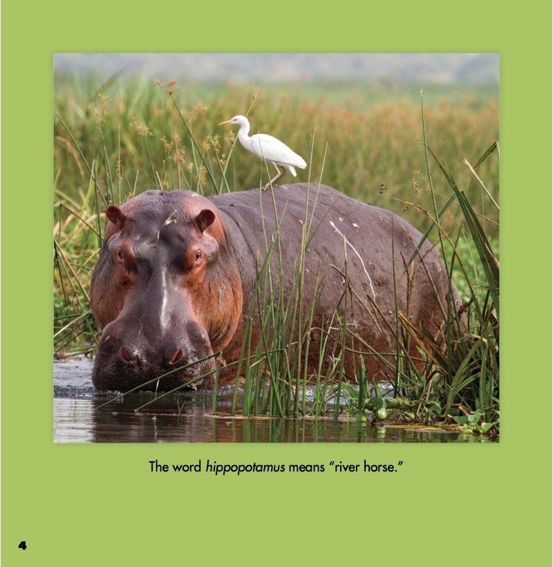 Egrets and Hippos — page 1