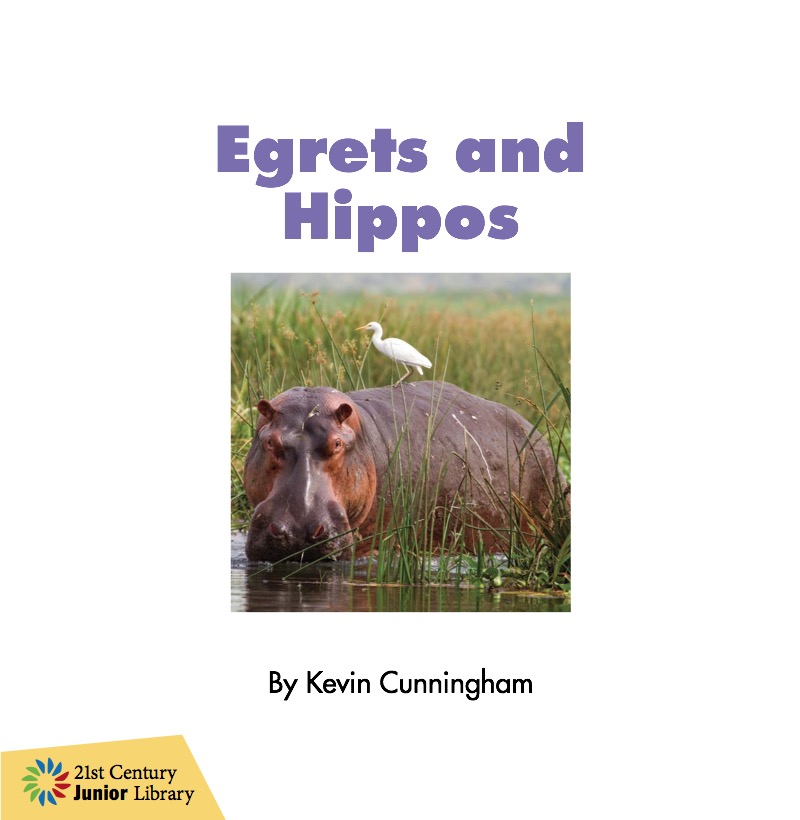 Egrets and Hippos book cover