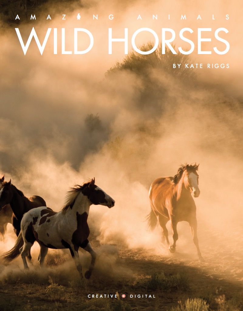 Wild Horses book cover
